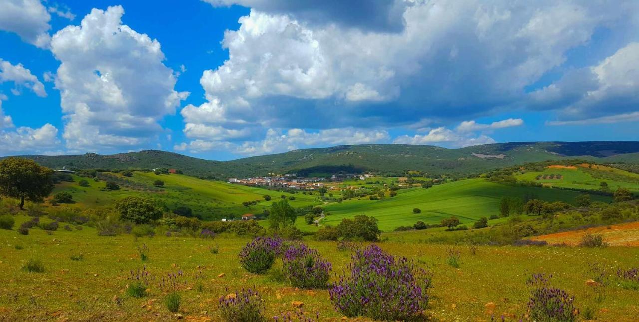 Villa Casa Demaximo Navalpino Esterno foto